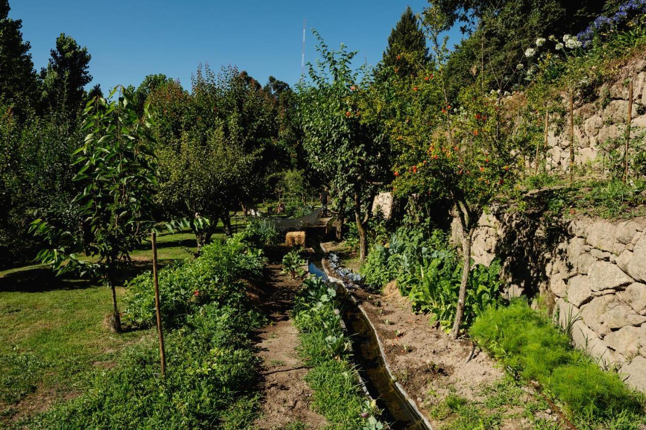 Casa Agricola Da Levada Eco Village Вила Реал Екстериор снимка